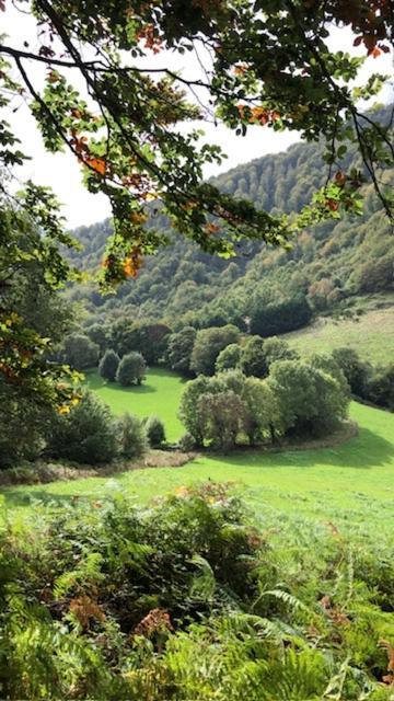 Casa Rural Ecologica Kaano Etxea Arrarats